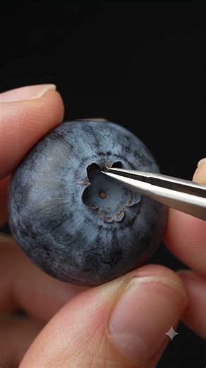Satisfying Macro Blueberry Skin Peel | Ultra Realistic Tweezers ASMR #asmr #oddlysatisfying
