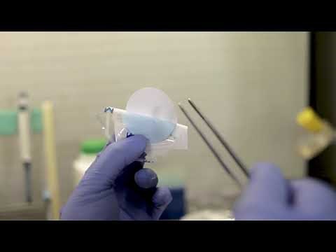 Water Analysis using the Membrane Filtration Technique