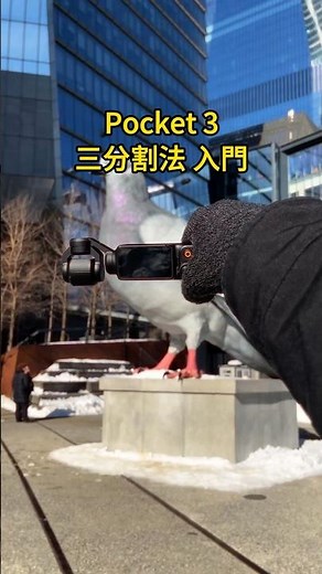 Pocket 3で学ぶ、初心者向け三分割法💡#dji #osmopocket3 #撮影初心者