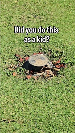 Golf Course Fun In Between Shots #golfcourse #golfmaintenance #golfcoursesuperintendent