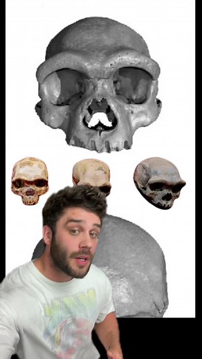 Uncovering the Denisovans: A Journey into Human Evolution