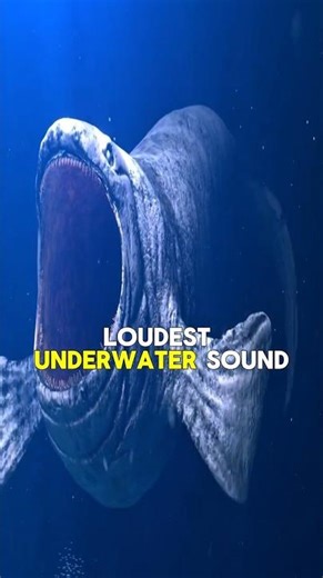 ​Sounds That Should NOT Exist 🚫 (Part 4)