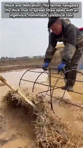 Homemade metal cage tool tackles muddy rice paddy labor.