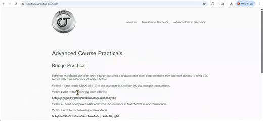 BRIDGE VIDEO PRACTICAL