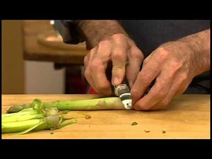 KQED: Essential Pepin Shorts, Ragout of Asparagus