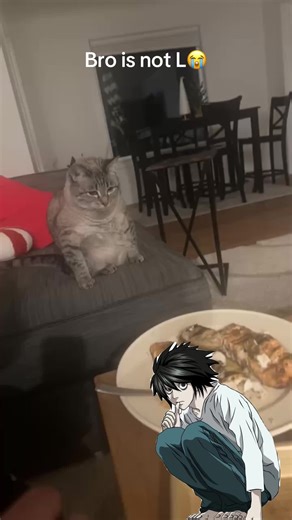Understanding L from Death Note in Cat Context