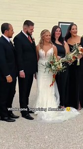 4.5M views · 10K reactions | Emotional Puppy Surprise Reactions 梁❤️ || Wholesome Surprising Moments 梁 #puppy #dog #dogsoftiktok #doglovers #surprise #gift #crying #wholesome #hearttouching #heartwarming #reaction #fyp #foryou | Metdaan Animals | Facebook