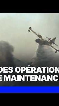 Wildfires: Does France have enough aerial resources to fight the flames?