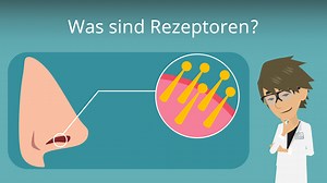 Was sind Rezeptoren? • Definition, Funktion & Typen