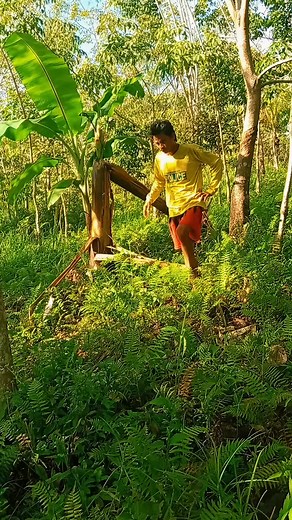 Boy tarzan | Tarzan Philippines