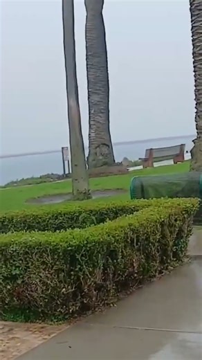 Wedge Newport Beach ca Full Video ➡️