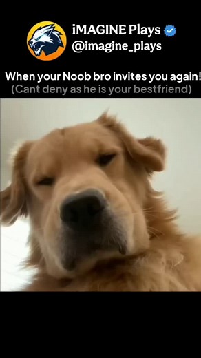 828K views · 19K reactions | Ahhh let it be! . . . . . . #GamingReels #Gamerlife #EsportsReels #mlbb #imagineplays #mobilelegends #mlbbmeme #moba5v5 #reels #mlbbmemes #mlbbmemes #m6 #claude #imaginee #mobilelegendswtf #mobilelegendsindonesia #mobilelegendsvideo #mobilelegendsgame #globalplayer #friends | Imagine Plays | Facebook