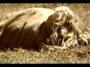 Hippielympics Sunshine Daydream Terra Alta, WV