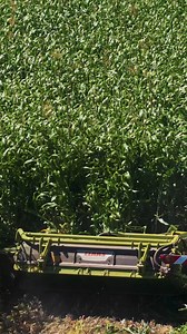 105K views · 572 reactions | Bigger, better DISCO  With the DISCO 9700 RC AUTO SWATHER, we effortlessly mowed up to 4 meters high sorghum  #claas #claasmachinery | CLAAS | Facebook