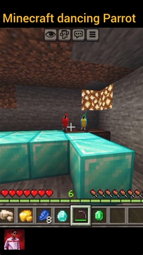 Minecraft dancing Parrot 🦜 #minecraft #shorts