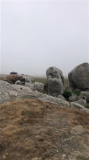 Bodega Bay California #californiatourism #green #landscape