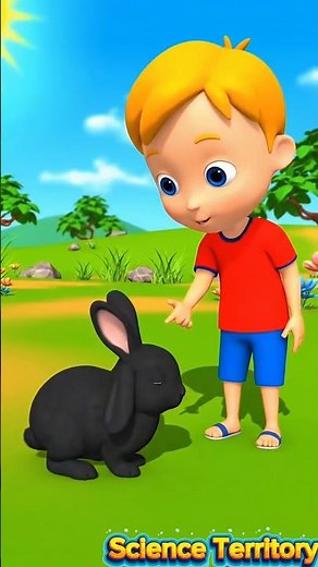 Episode 15: Light and Shadows #viral #kidseducation #science #scienceforkids #light