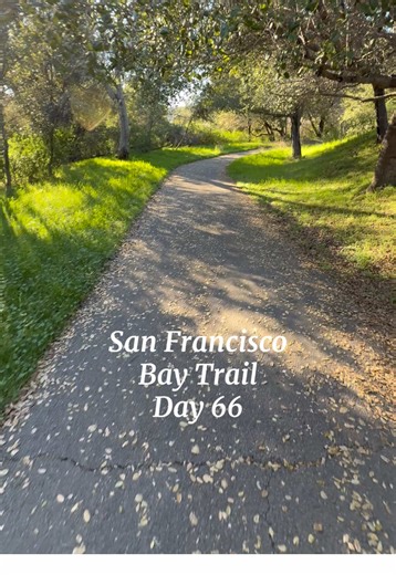 66 Days of walking the San Francisco Bay Trail has led me to some beautiful paths through San Rafael.