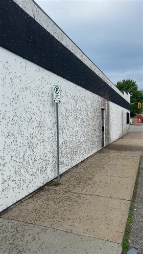 Poseidons Trident (@poseidons.trident3)’s videos with original sound - thereklaws