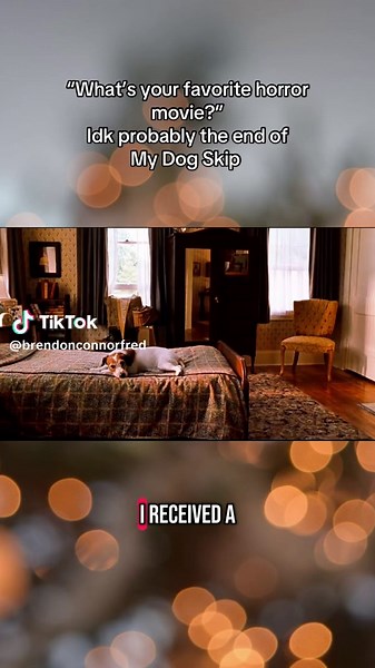 Nostalgic Review of My Dog Skip's Heartfelt Ending