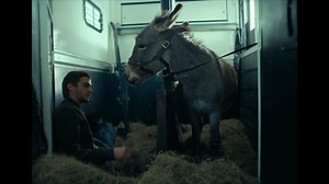 2.7K views · 85 reactions | Evening viewing recommendation? Watch Jerzy Skolimowski’s EO—exclusively streaming on the Criterion Channel! https://www.criterionchannel.com/eo Skolimowski’s Oscar-nominated film, starring six Sardinian donkeys, is one of the most free and visually inventive films of this or any year. Plus! Don’t miss an exclusive making-of program and an introduction to the six donkeys who play EO. | The Criterion Collection | Facebook