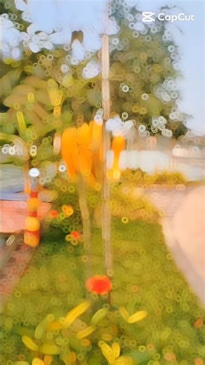 Amr din gulo sob jay hariye sob adare.#travel .#foryou #viralvideo . #followyou .