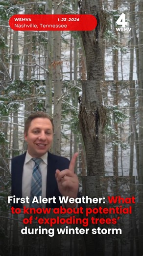 #FactCheck: Here's a look at the truth behind "exploding trees" during extremely cold weather. | WSMV 4, Nashville