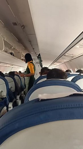 Inside an Airplane Cabin: A Flight Attendant's Journey