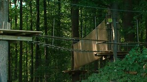 Woman plunges from zip line, dies