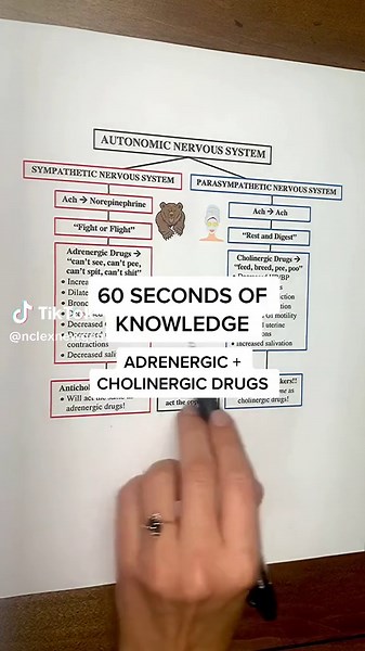 Understanding Adrenergic and Cholinergic Medications