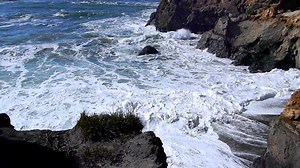 7.7K views · 647 reactions | Today's #OregonCoast:video of Fishing...