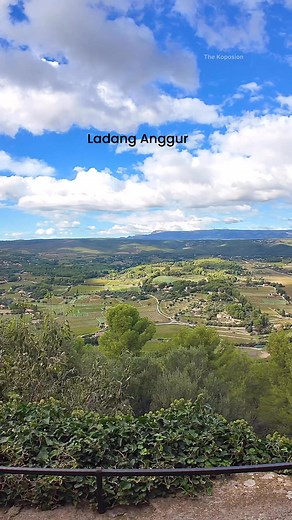 Ada Ladang Anggur ka di France. Begitu lah soalan yang saya selalu kena tanya. Dalam video ni kamu boleh bayangkan Ladang Anggur di Southeast France ni sangat lah besar. Jalan sikit ada ladang anggur sudah. #jalanjalan #provence #wine | The Koposion