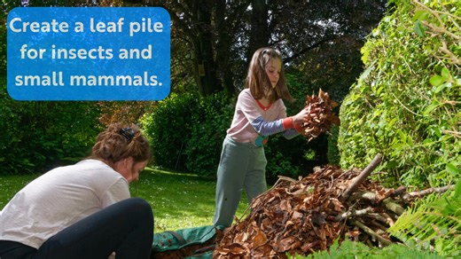 Less is More this Autumn You’ll be happy to hear that less work equals more wildlife in your autumn garden. But before you succumb to the hibernation urge, here are our three autumnal top tips to make your garden a wildlife haven, ready for the ensuing winter. 1. Messy autumn gardens are best: avoid the urge to cut back and tidy too much, it’s more beneficial for nature to leave any decaying plants intact. Hollowed stems and seedheads provide a safe insect hidey-hole from frosts. Pile deadwood a