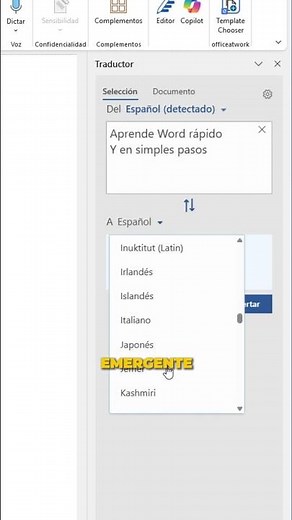 How to translate texts in Word?