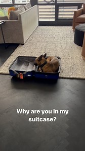 1.1K views · 34 reactions | Code Red Lifestyle on Reels | Facebook