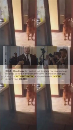 BEST DANK CAT MEMES COMPILATION OF 2020 PART 10 from TikTok 73s