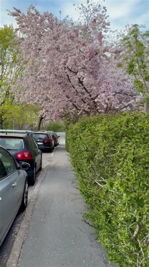 Spring in Sweden, Stockholm