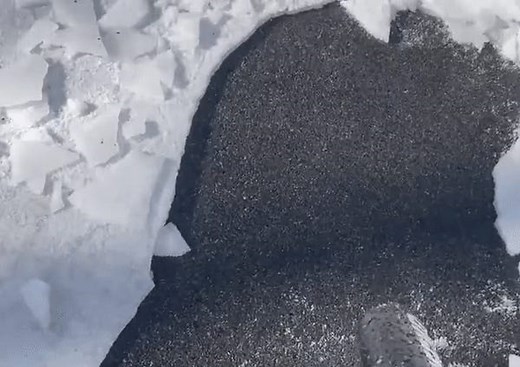 Leaf blower used to 'awesome' effect on icy driveway