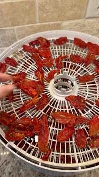 DIY Sun-dried Tomatoes: EASY & DELICIOUS!🍅😋 #homesteading #sundriedtomatoes #canning