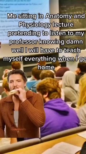 60K views · 286 reactions | That's what weekends are for. | Bad Science Jokes | Facebook