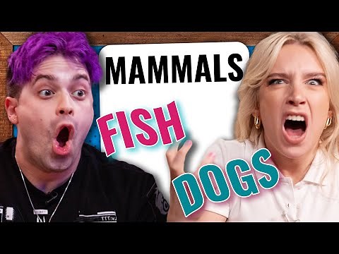 Yelling: The Game (Board AF: Anomia)