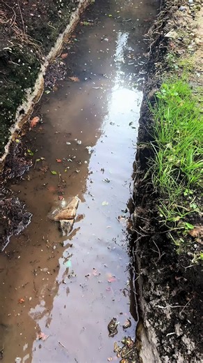 Big rob (@bigrob04)’s videos with Kevin bloody Wilson