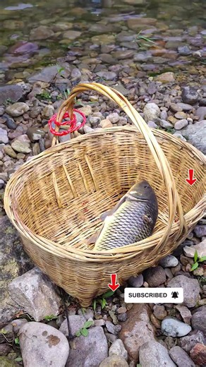 Traditional Spear Fishing in Vietnam | Khéo léo săn cá suối giữa thiên nhiên #Shorts