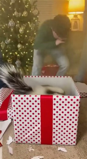 A Kid Opened a Christmas Gift… and a SKUNK Came Out 😱🎁 #gift #box #wish #youtubeshorts #youtube