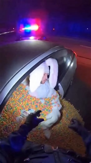 Bunny Gets Pulled Over… For What?! 🐰🚓🤣 #Shorts