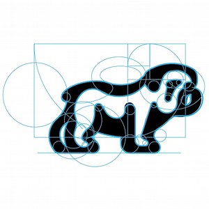 124K views · 780 shares | Logo design legend George Bokhua is back! Visit skl.sh/bokhua3 to learn George's secret to creating complex yet perfect logos: gridding with the golden ratio. | Skillshare | Facebook