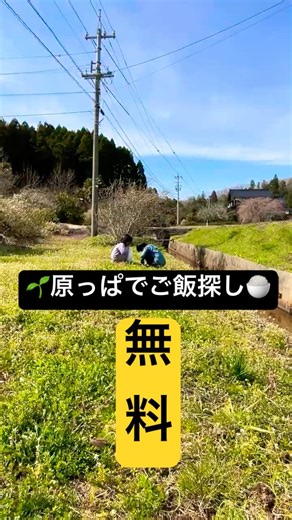 スーパー行かずに晩ごはん作ってみた #田舎暮らし #限界集落 #アウトドア