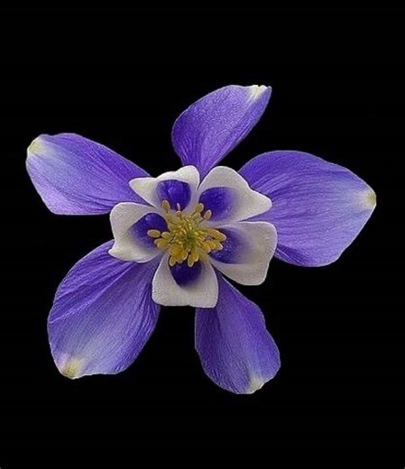 Transform #lyrics #music #danielcaesar #f4ntlyricsss #fyp