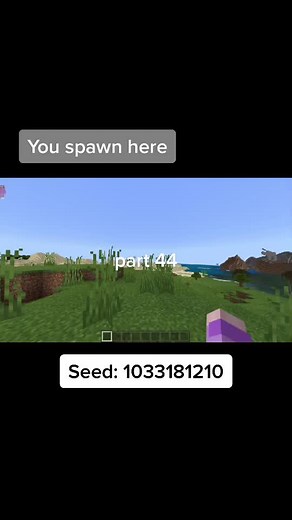 Minecraft Seeds on TikTok