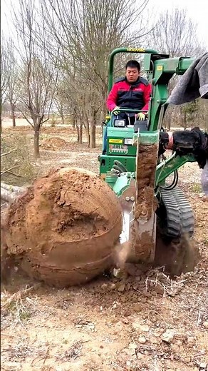 Powerful Mini Excavator Removing Tree Roots Easily 🌳 #Excavator #TreeRemoval #HeavyMachinery